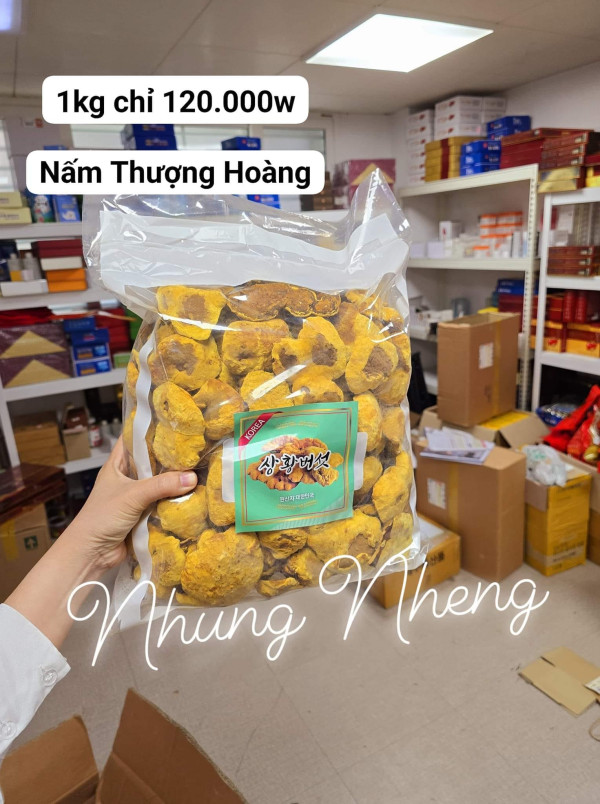 NẤM THƯỢNG HOÀNG HÀN QUỐC - VUA CỦA CÁC LOẠI NẤM - 1kg