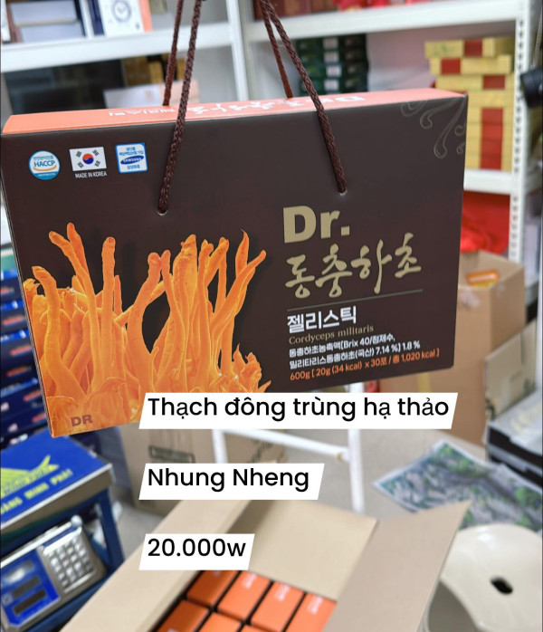 THẠCH ĐÔNG TRÙNG HẠ THẢO SAMSUNG