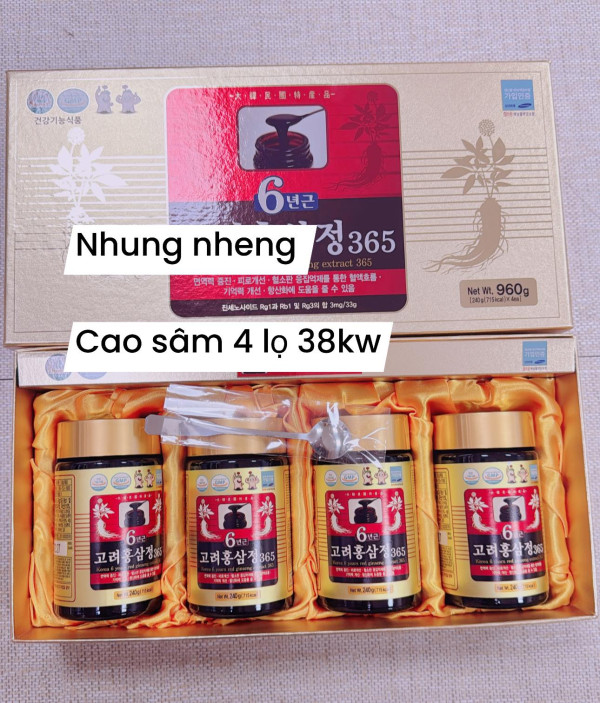 CAO SÂM 6 NĂM TUỔI 365