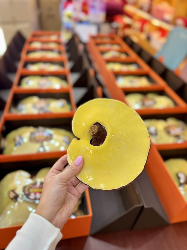 NẤM LINH CHI CAO CẤP HÀN...