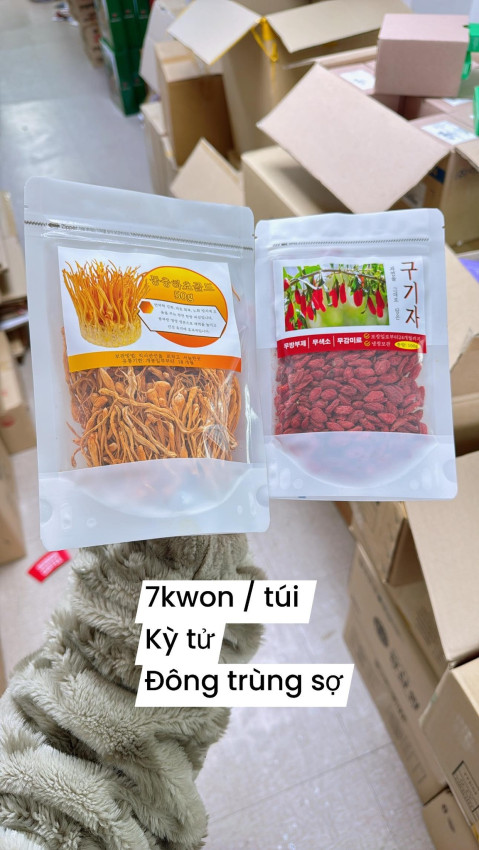 ĐÔNG TRÙNG SỢI & KỶ TỬ