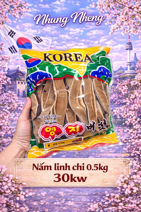 NẤM LINH CHI THÁI LÁT