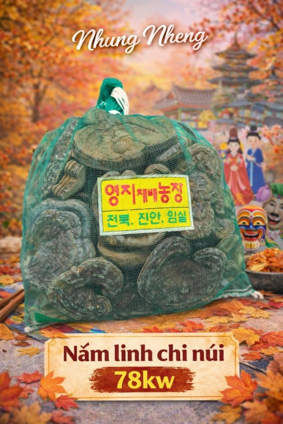 NẤM LINH CHI NÚI